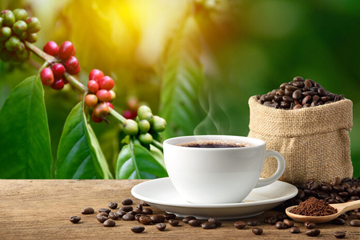 Café